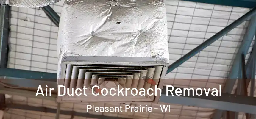 Air Duct Cockroach Removal Pleasant Prairie - WI