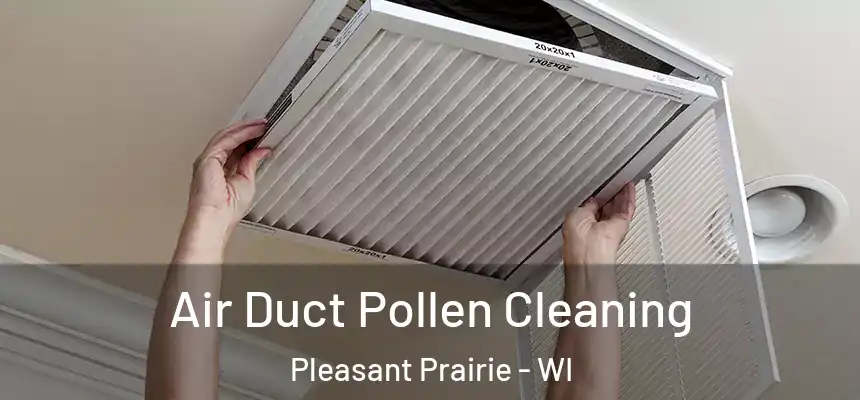  Air Duct Pollen Cleaning Pleasant Prairie - WI