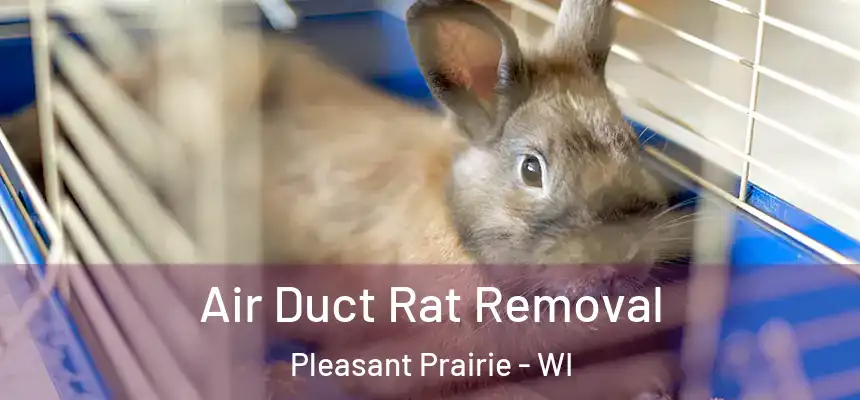 Air Duct Rat Removal Pleasant Prairie - WI