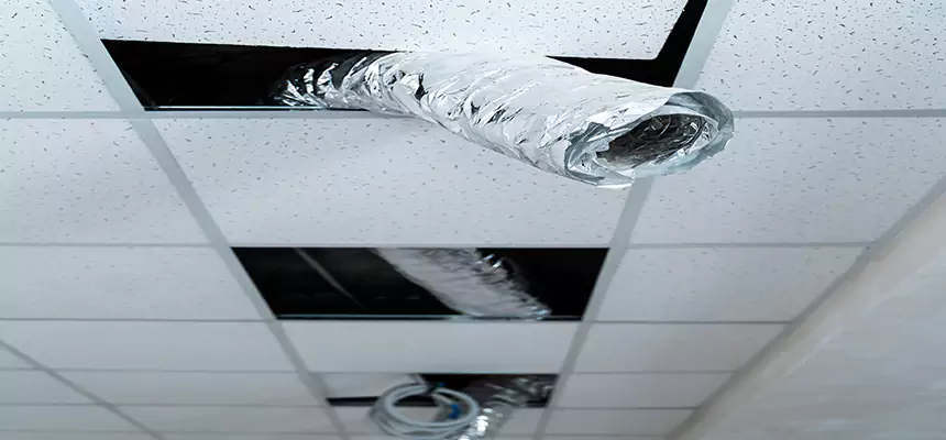 Affordable HVAC Sanitizing After Pest Removal in Pleasant Prairie