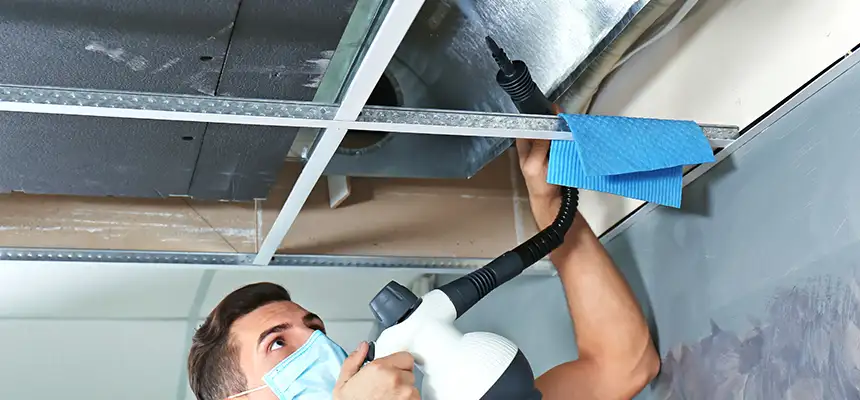 Our Air Duct Rodent Removal Services in Pleasant Prairie, WI