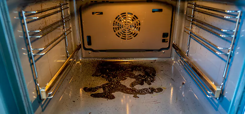 Our Dryer Vent Mold Cleaning Services in Pleasant Prairie, WI