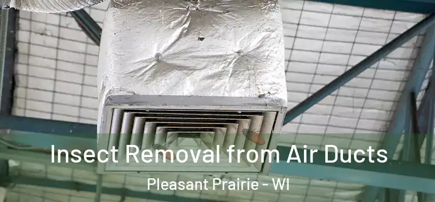  Insect Removal from Air Ducts Pleasant Prairie - WI