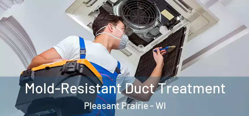  Mold-Resistant Duct Treatment Pleasant Prairie - WI