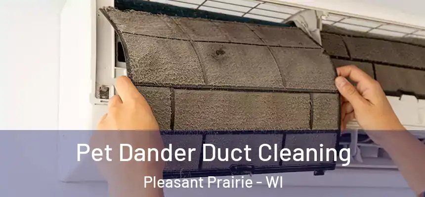  Pet Dander Duct Cleaning Pleasant Prairie - WI