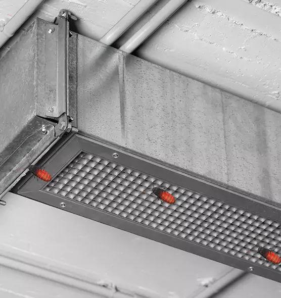 About Air Duct Cockroach Removal in Pleasant Prairie, WI